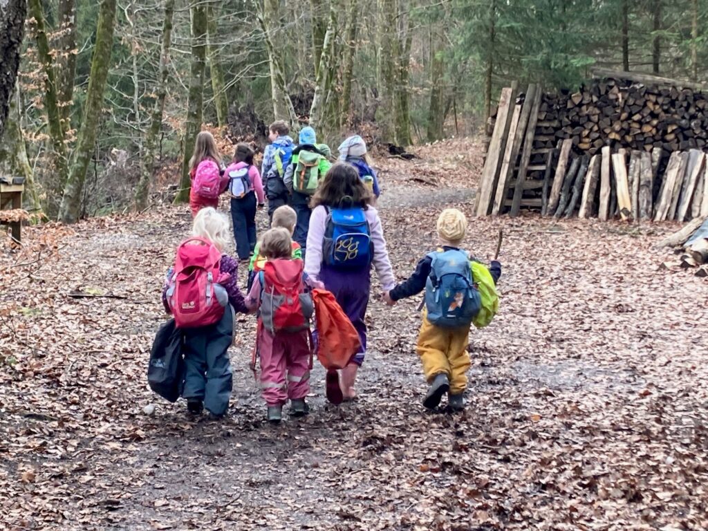 Herbstferien im Wald
